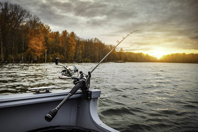 Quelques points essentiels à maîtriser pour la pêche à la carpe